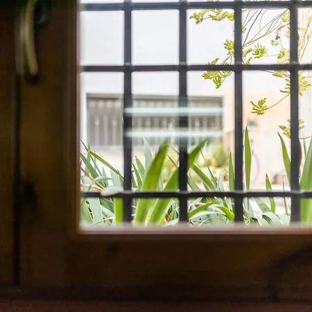 Lägenhet El Rey Zagal Casa Siglo Xvi Pleno Centro